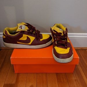 Nike SB TEAM EDITION